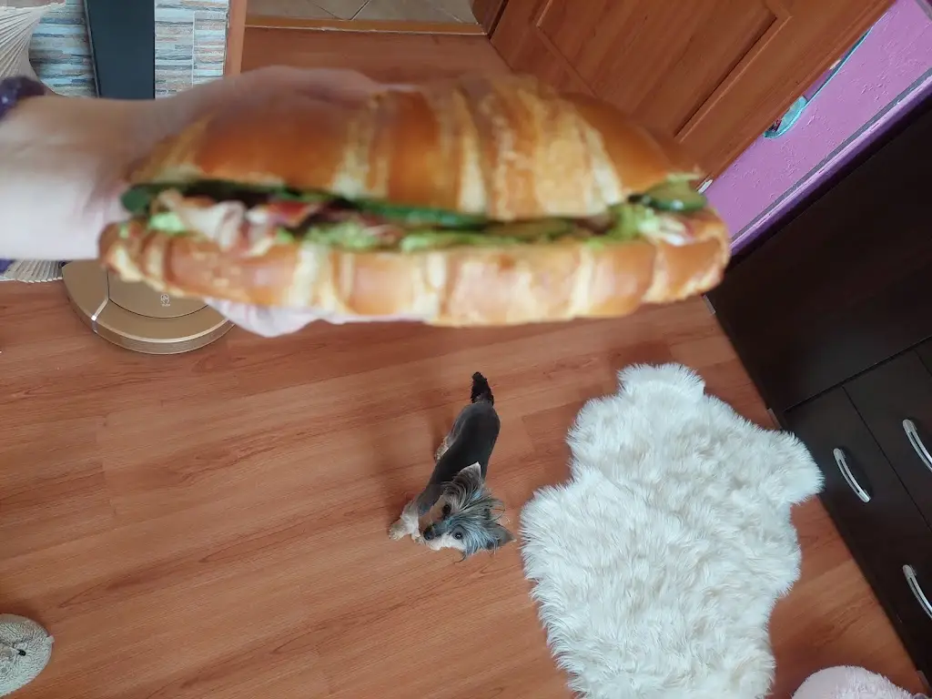 Nikola Axamitova_Bistro U Chameleona_Rakovník_recensione