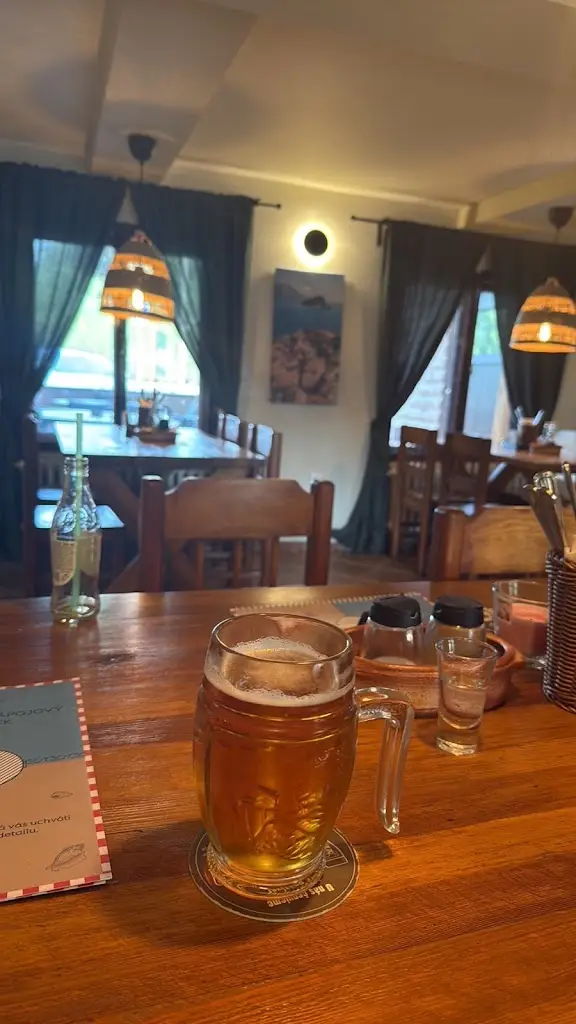 pavle jovovic_Restaurace Tara_Psáry_review