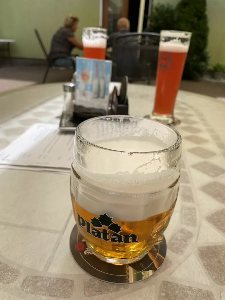 Martin Zelený_Restaurace U Provazníka_Protivín_review