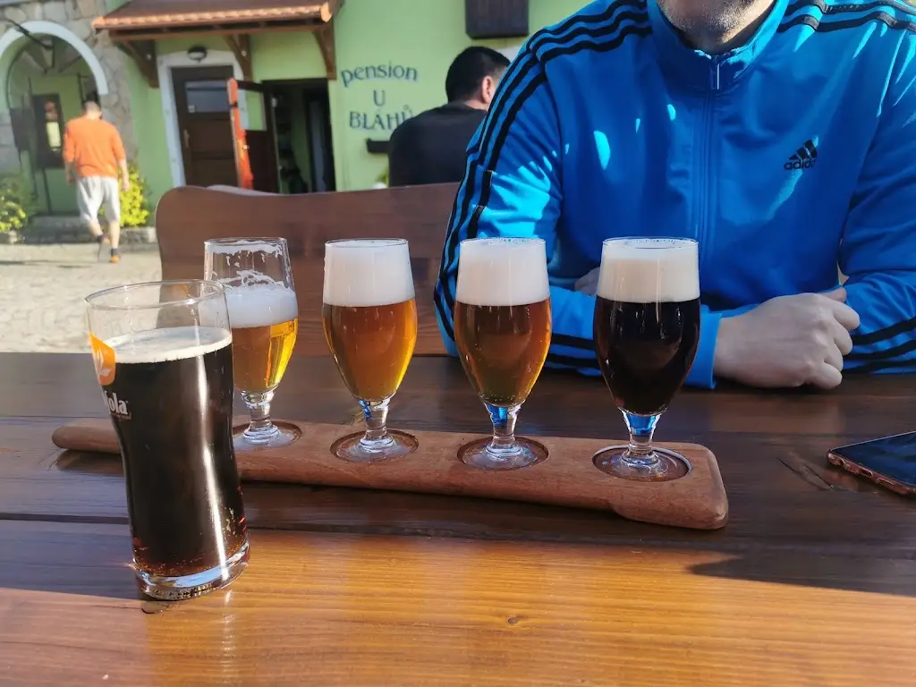 Monika Hesová_Rodinná nekuřácká restaurace U Kamene_Šestajovice_review