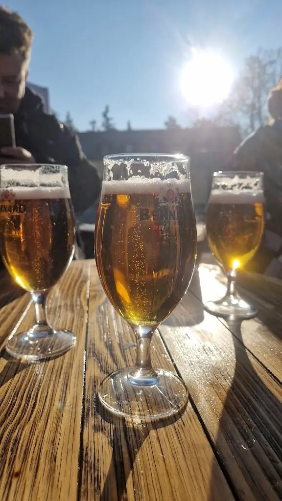 lea fn_Vinotéka na náměstí_Průhonice_review