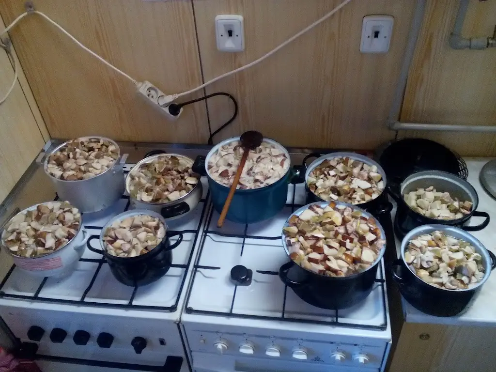 Menu_Občerstvení Koupaliště_Rožmitál pod Třemšínem_immagine_4