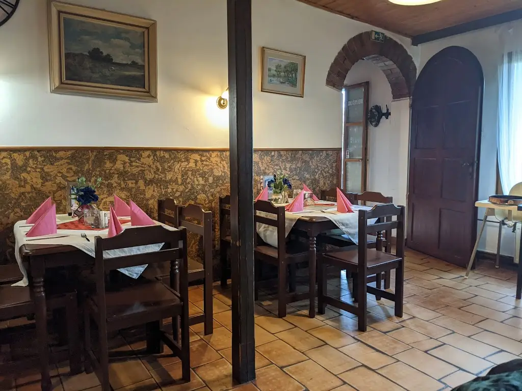 Ondrej Dolejsi_Starosuchdolská Restaurace U Alazani_Suchdol_review