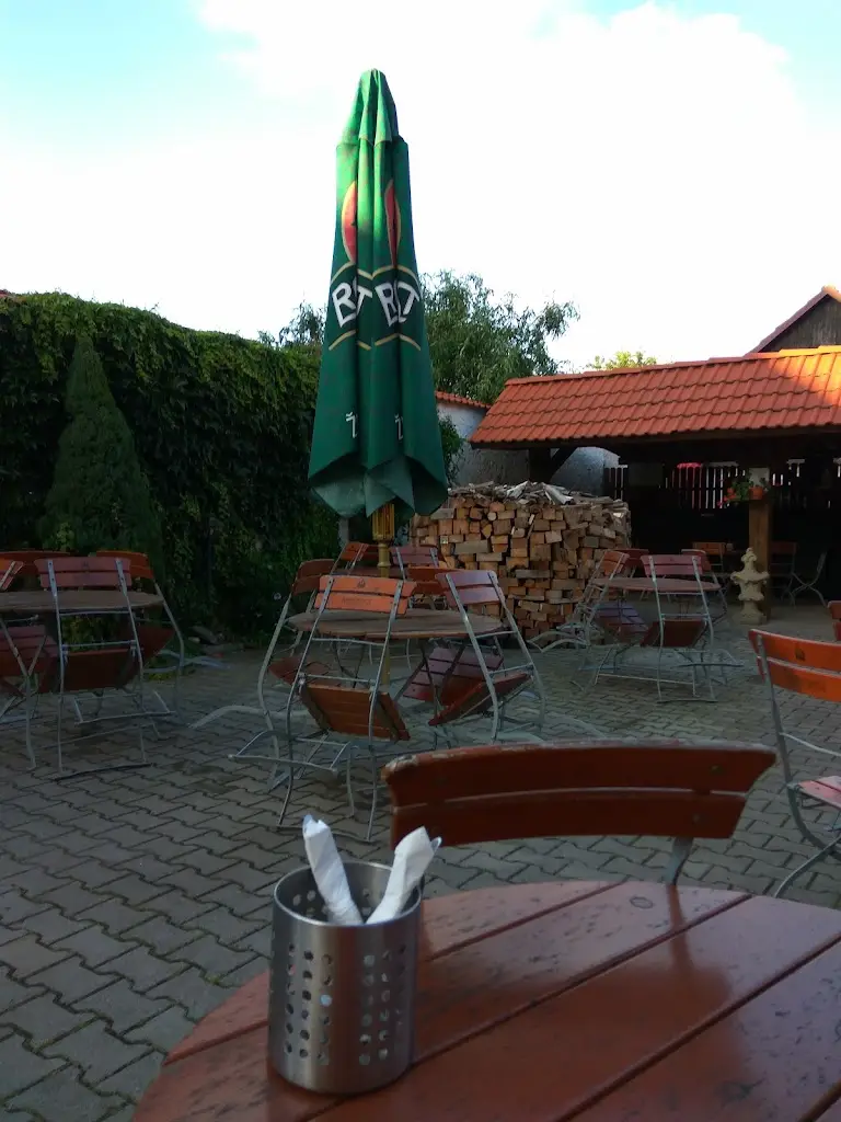 Radim Radim_Restaurace - Pizzerie u Broučka Suchdol_Suchdol_review