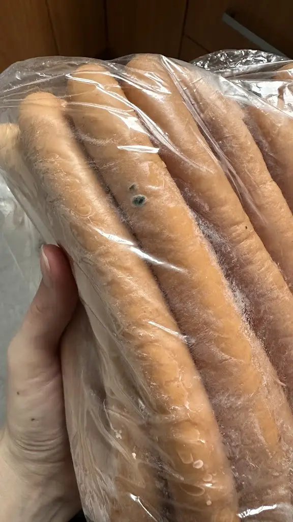 Masna Planá_Planá nad Lužnicí_slider_image_3