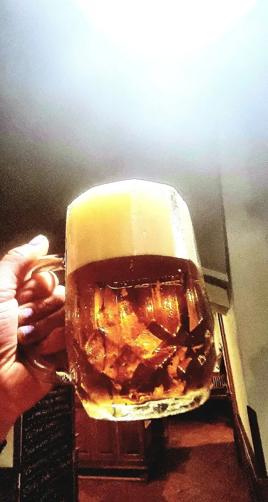 Menu_Restaurace Ungelt_Slaný_image_5