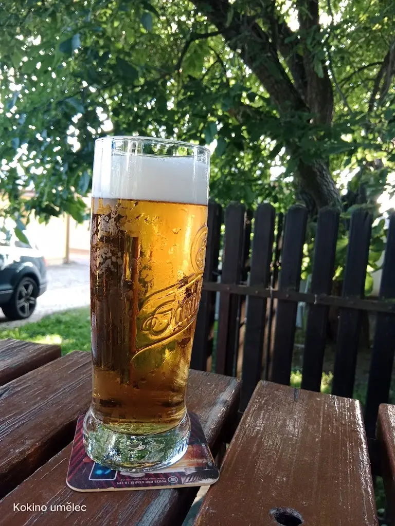 Petr Kokštein_Restaurace U Flašků_Rudolfov_review