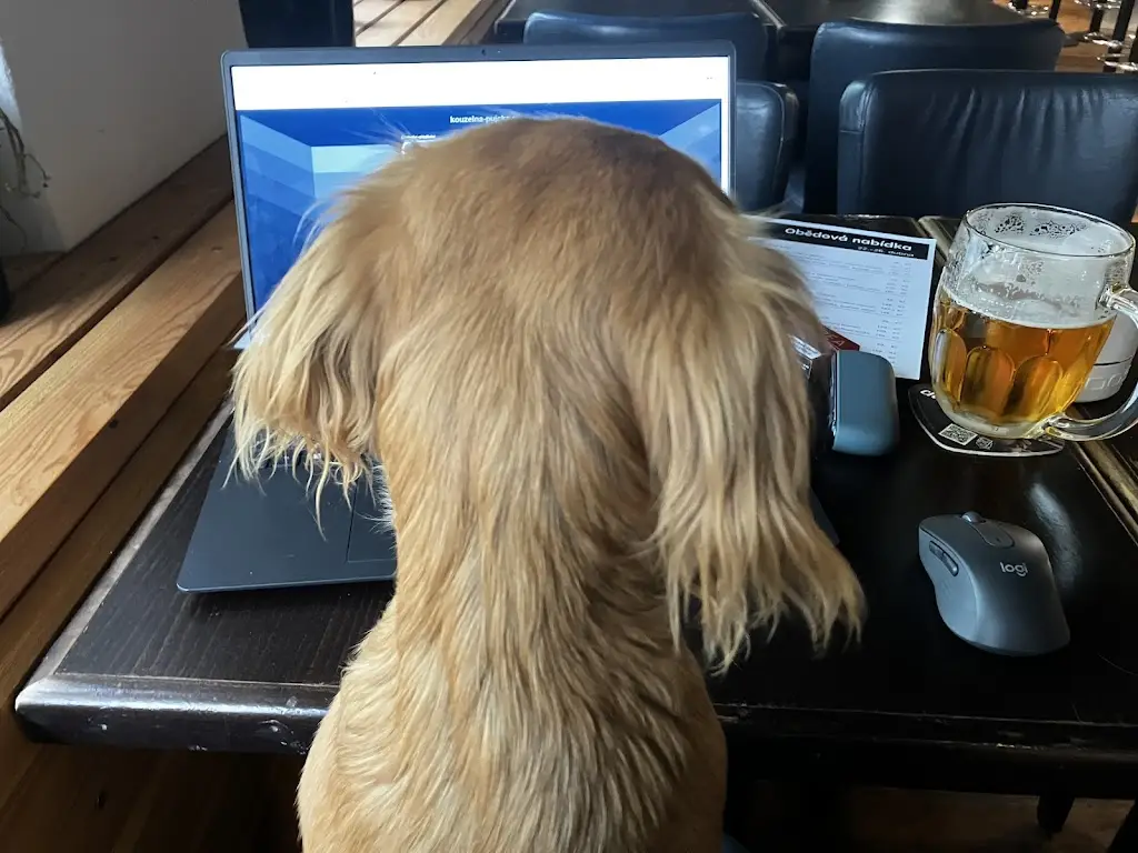 Jan Schiesl_Sokolovna BISTRO_Roztoky_review