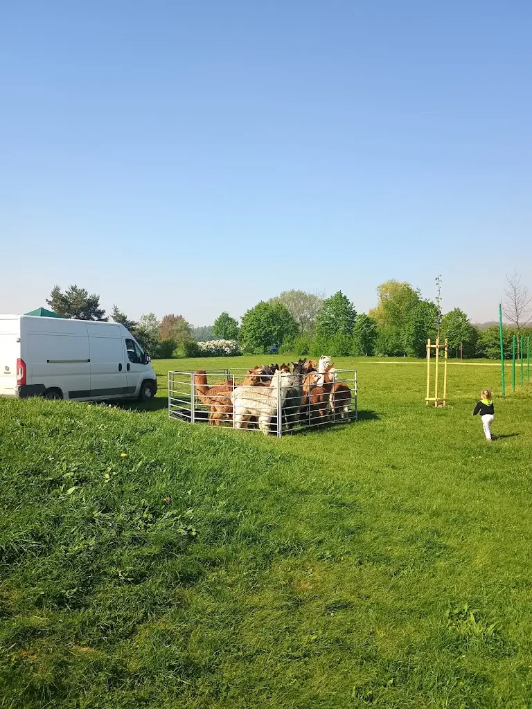 Jan Cemper_Restaurace U Jezera_Velký Osek_review