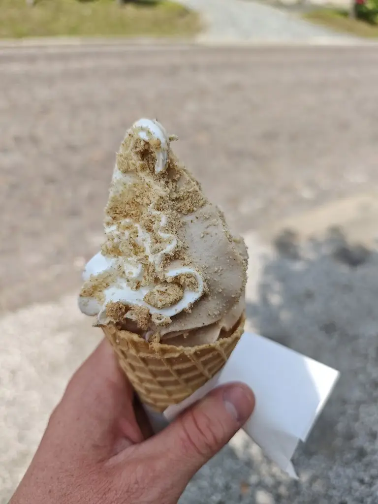 Vojtěch Lapuník_Týnecká zmrzlina/Kebab_Týnec nad Labem_review