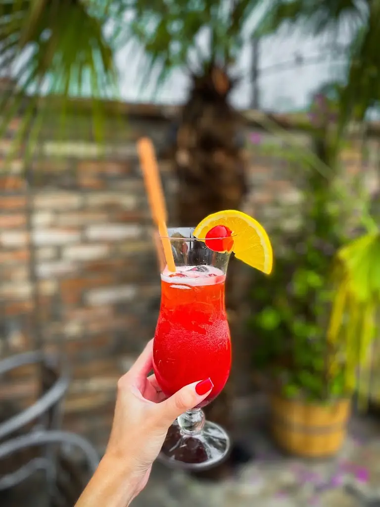 Palm Cafe Veltruby_Veltruby_slider_image_3