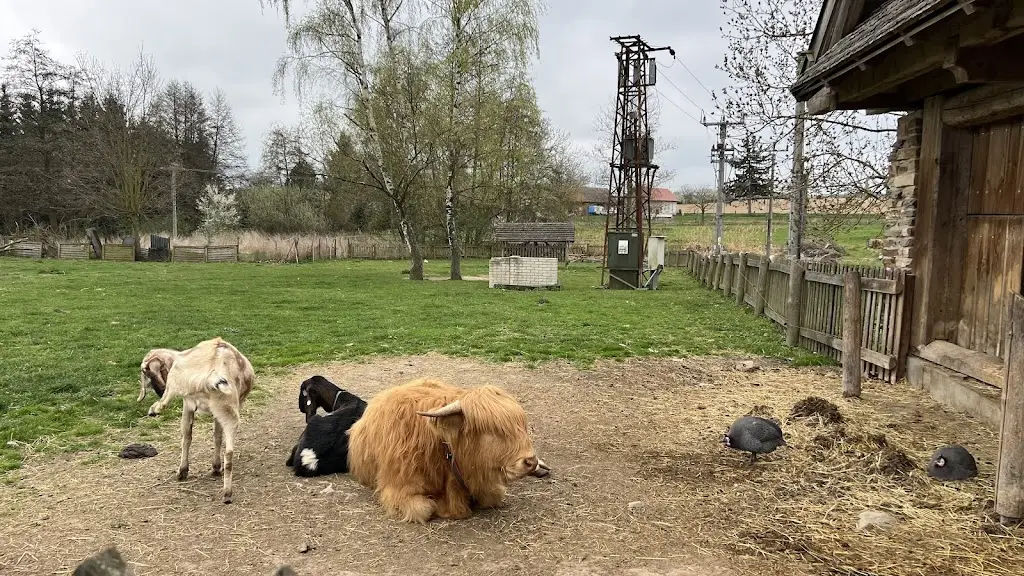 Nasser Al-Qassabi_Mud Farm Ltd._Uhlířské Janovice_review