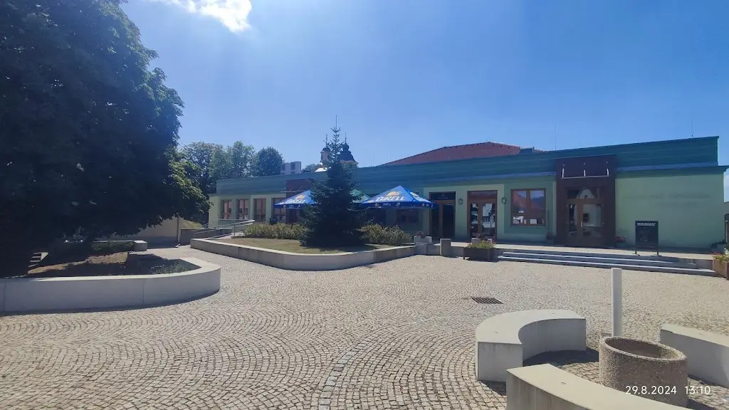 Jiřina Ladrová_Restaurace Pod kaštanem Sepekov_Sepekov_review