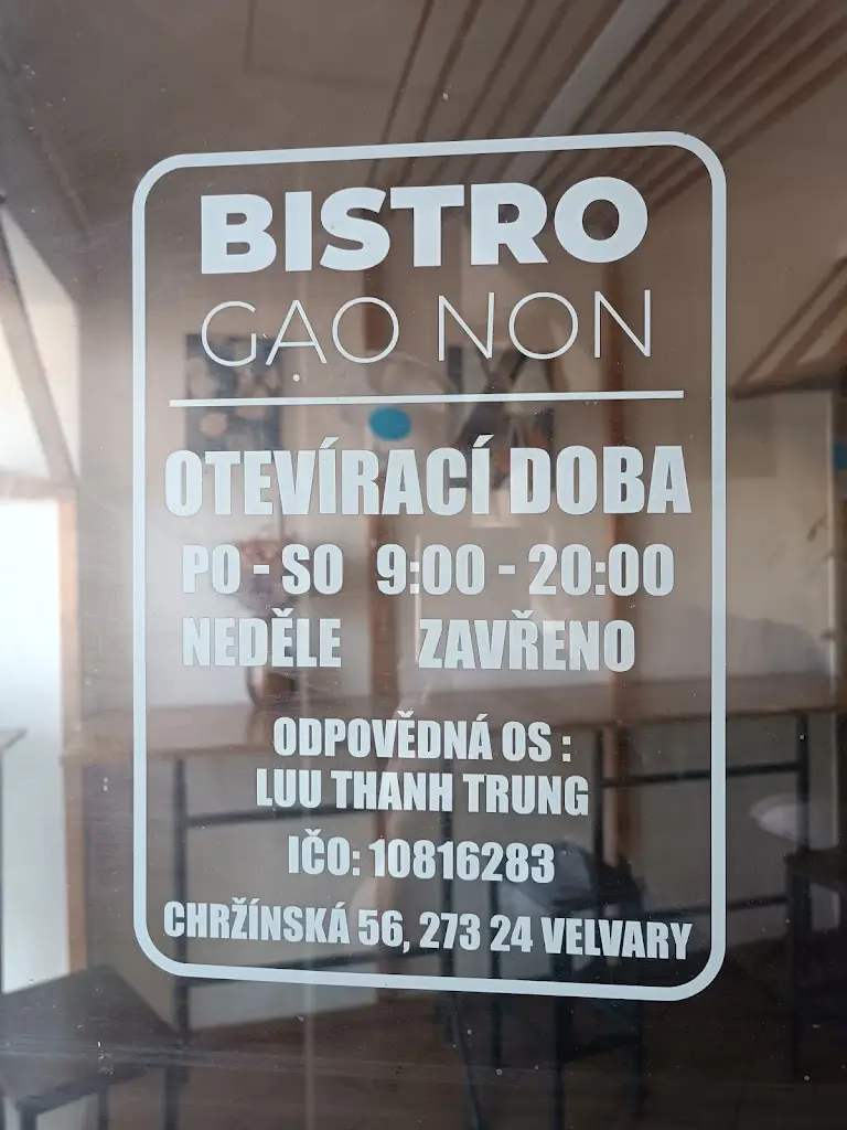 Markéta Svobodová_Bistro GAO NON_Velvary_review