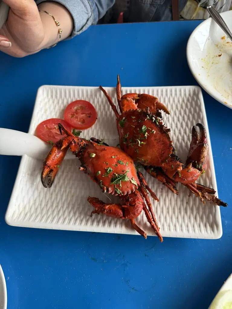 gibran noorani_Starlight_Velim_review