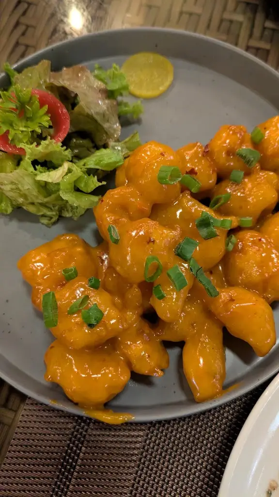 Mitzy Crasto_Robin's Ark_Velim_review