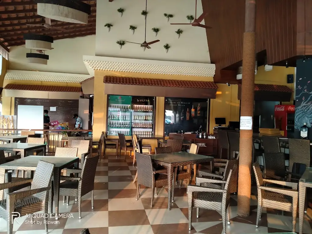 Rizwan Uddin_Robin's Ark_Velim_review