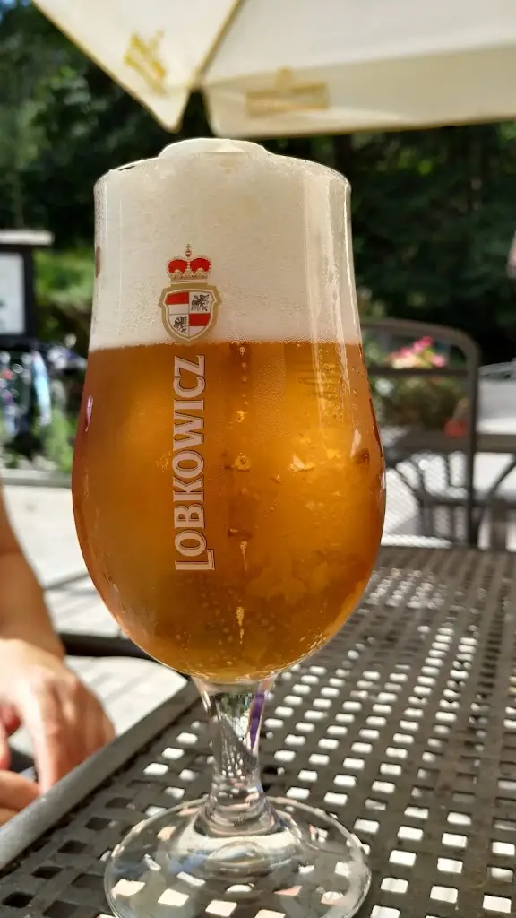 Menu_Bejčkův mlýn, restaurace_Slavonice_image_5