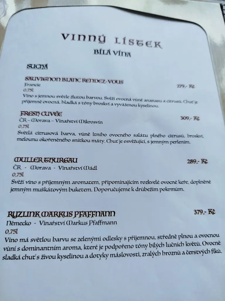 Menu_Restaurace U Blanických rytířů_Vlašim_image_1