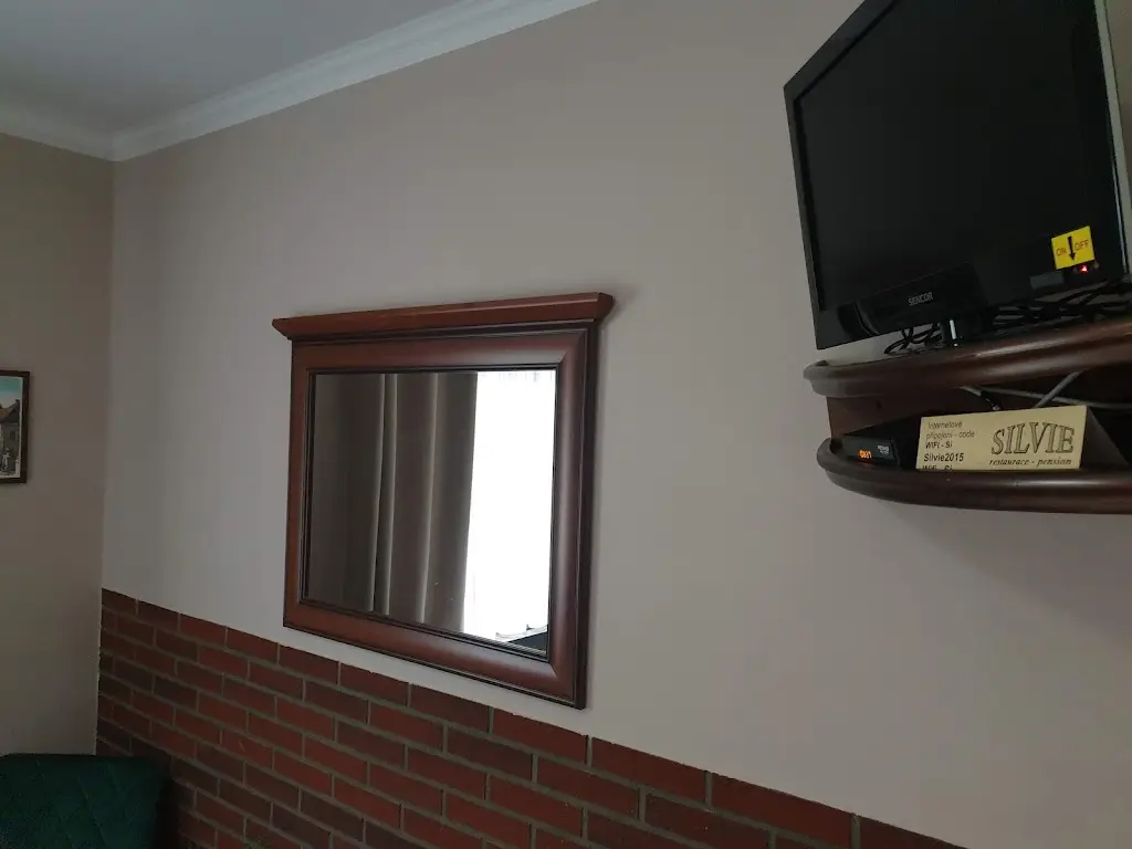 Jan Oldřich Krůza_Restaurace Penzion Silvie_Vlašim_review