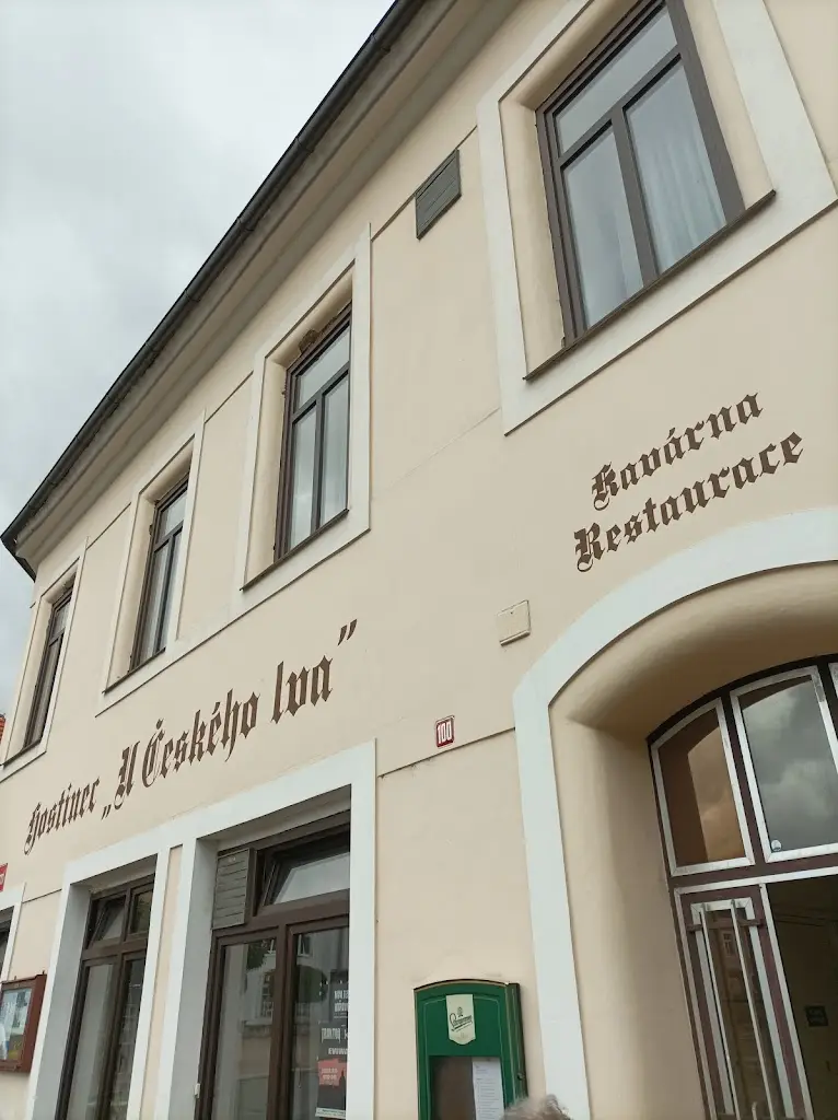 Milena Jeníčková_Restaurace U Českého Lva_Žebrák_review