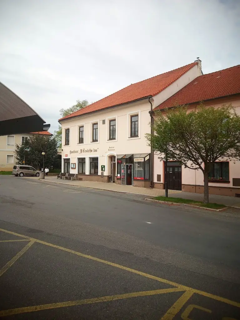 Miroslav Palfi_Restaurace U Českého Lva_Žebrák_review