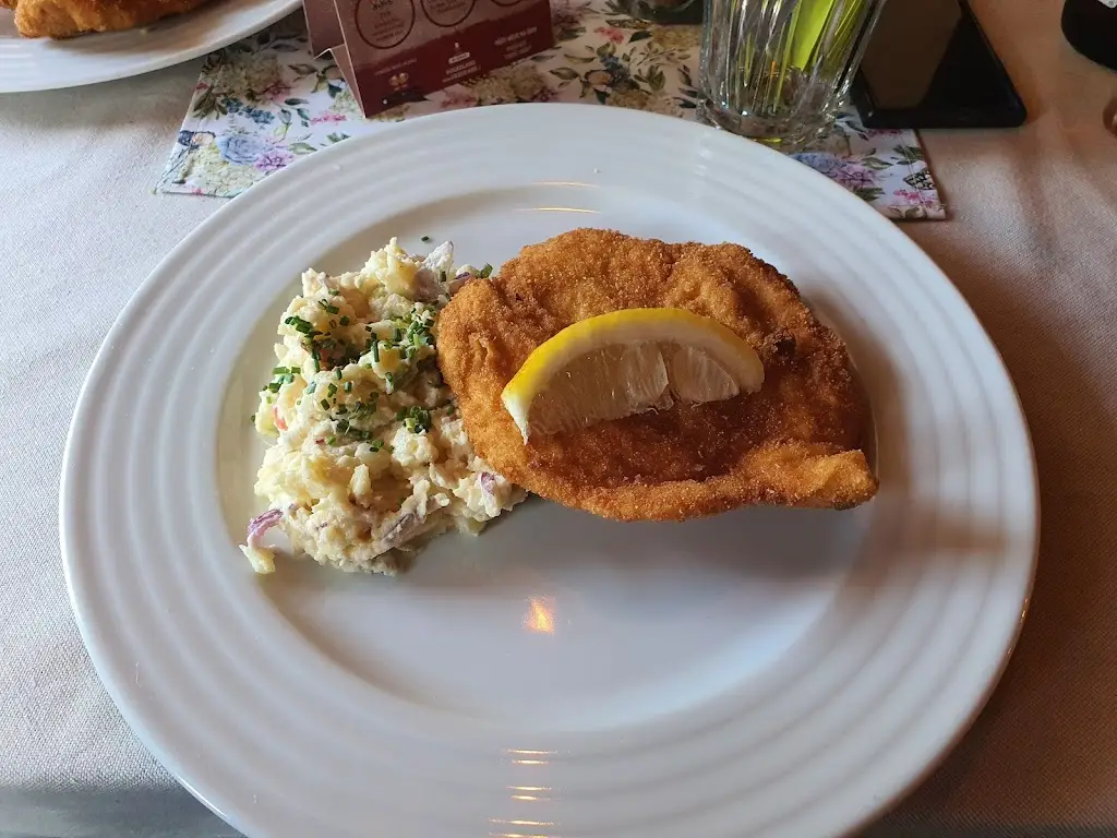 Menu_Penzion a restaurace U Vily_Sezimovo Ústí_immagine_4