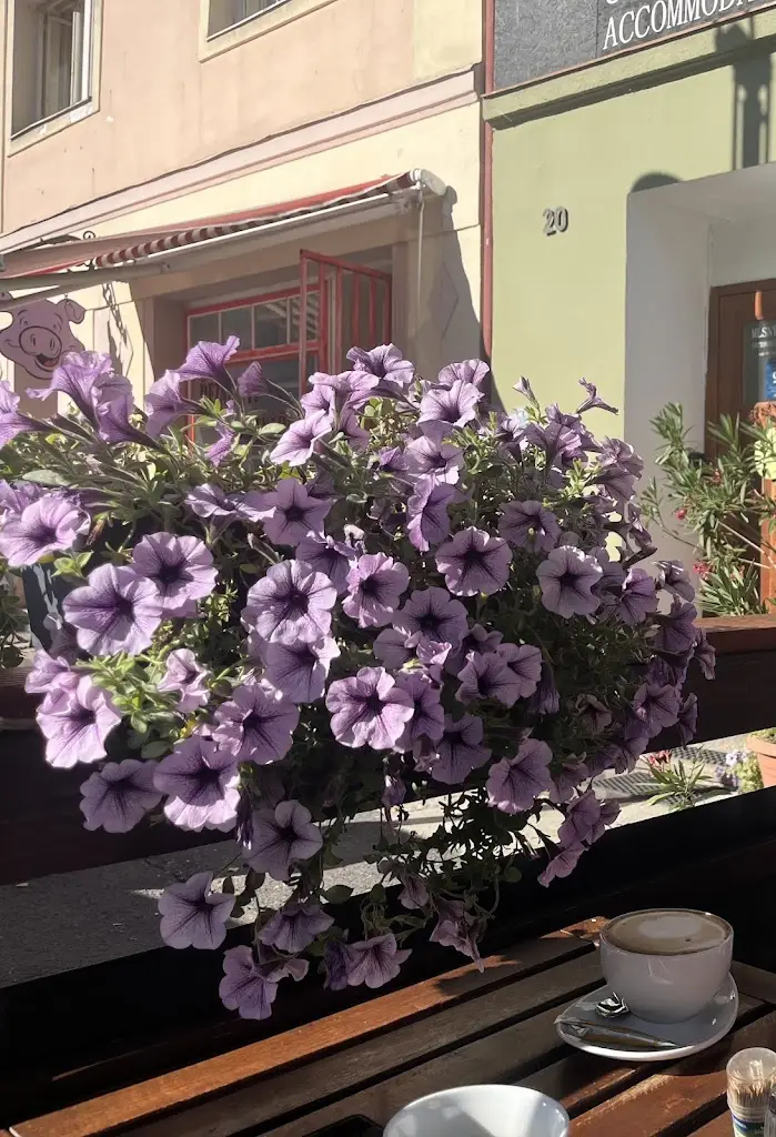 Jader MDS_Palačinkárna a kavárna u Mlsného medvěda_Bečov_review