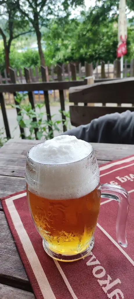 Menu_Obcerstveni Pod Lesem_Benešov nad Ploučnicí_image_1