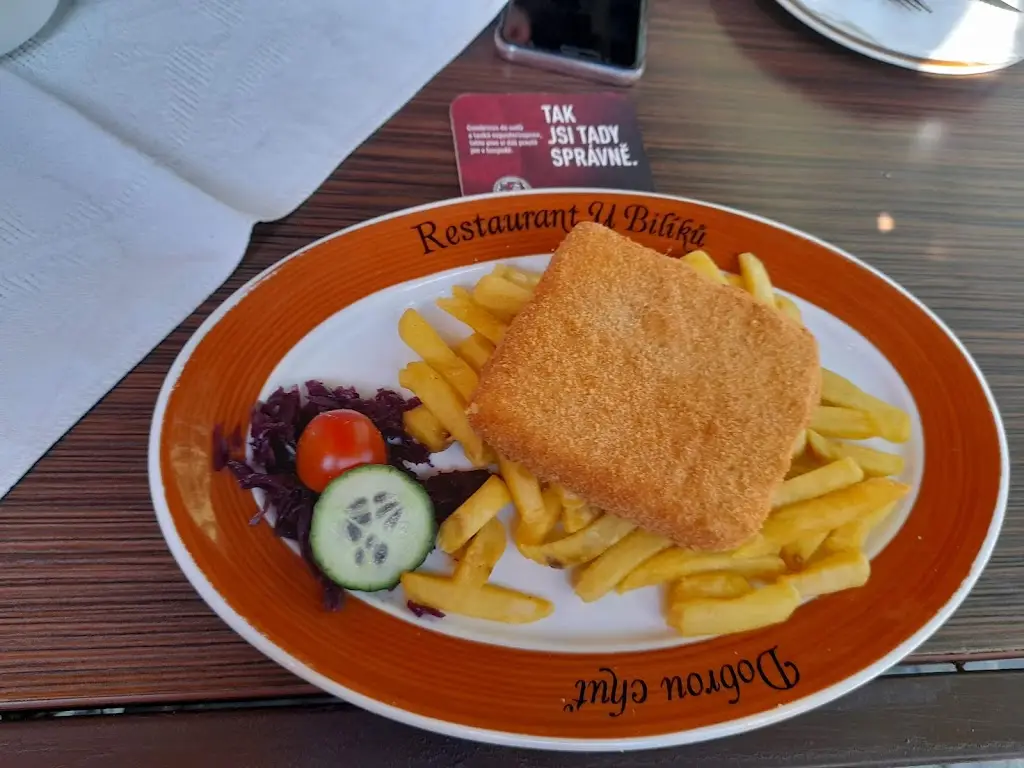 Menu_Restaurace u Bilíků_Sezimovo Ústí_immagine_5