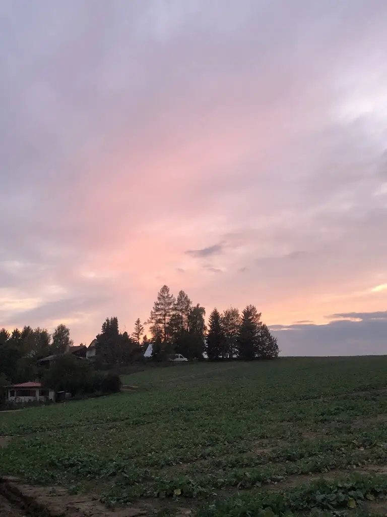 Timur Egorov_Rekreační areál Zbraslavice_Zbraslavice_review