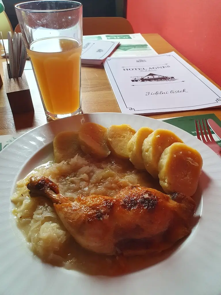 David Fisher_Restaurace a Hotel Agnes_Zbraslavice_review