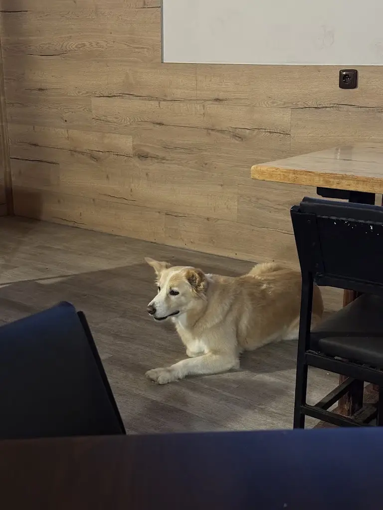 Tomáš Bretfeld_Pivnice U Krokodýla_Zruč nad Sázavou_review