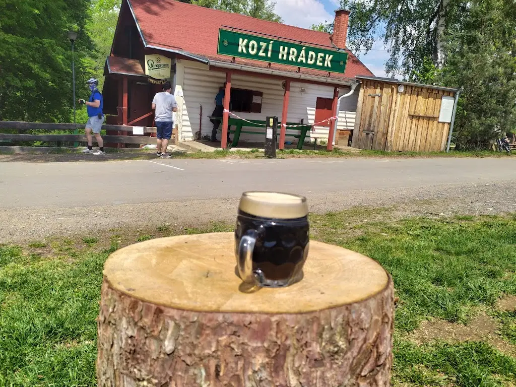 Mladen Tabakovic_Kozí Hrádek - restaurace_Sezimovo Ústí_review