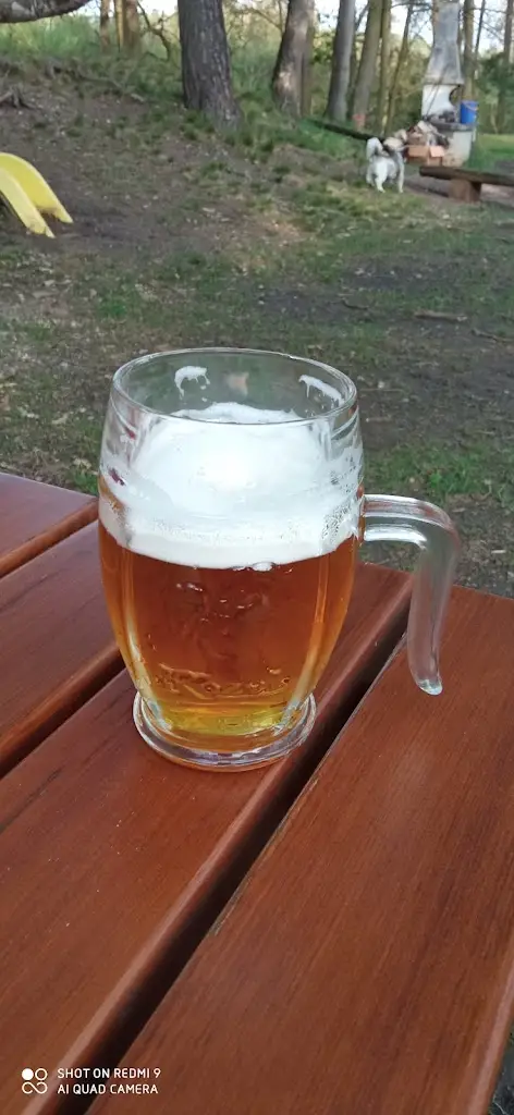 Jaroslava Hájková_Chatová osada SOUKENÍK_Sezimovo Ústí_recensione