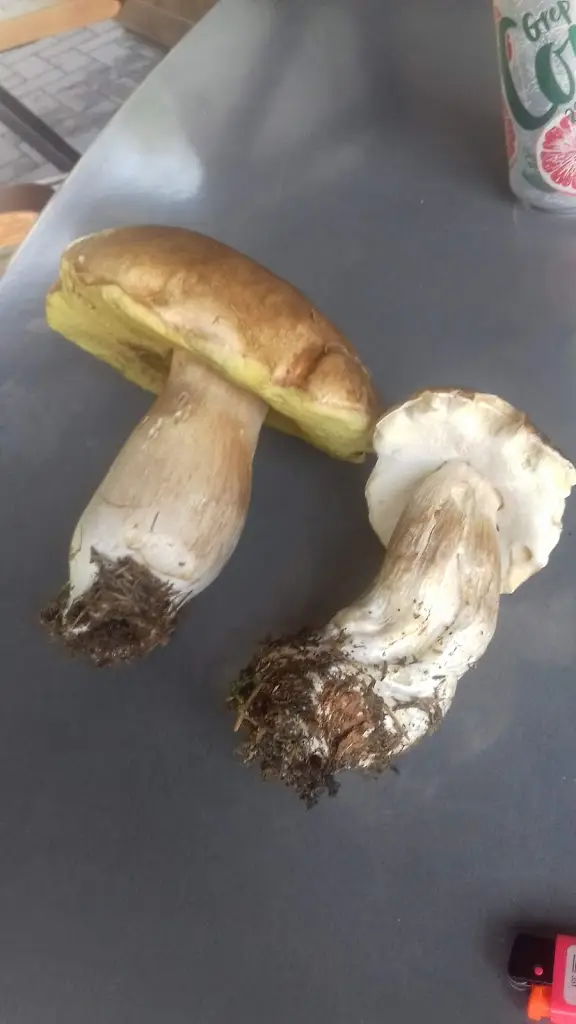 Vinárna U Krbu - Martínek Jaroslav_Votice_slider_image_3