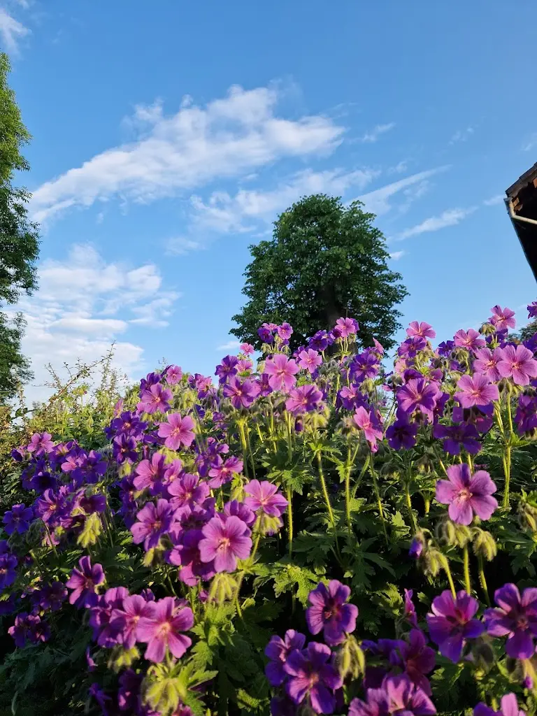 Beniamin Krupowicz_The Barn / Na Stodolci - Inn_Chřibská_review