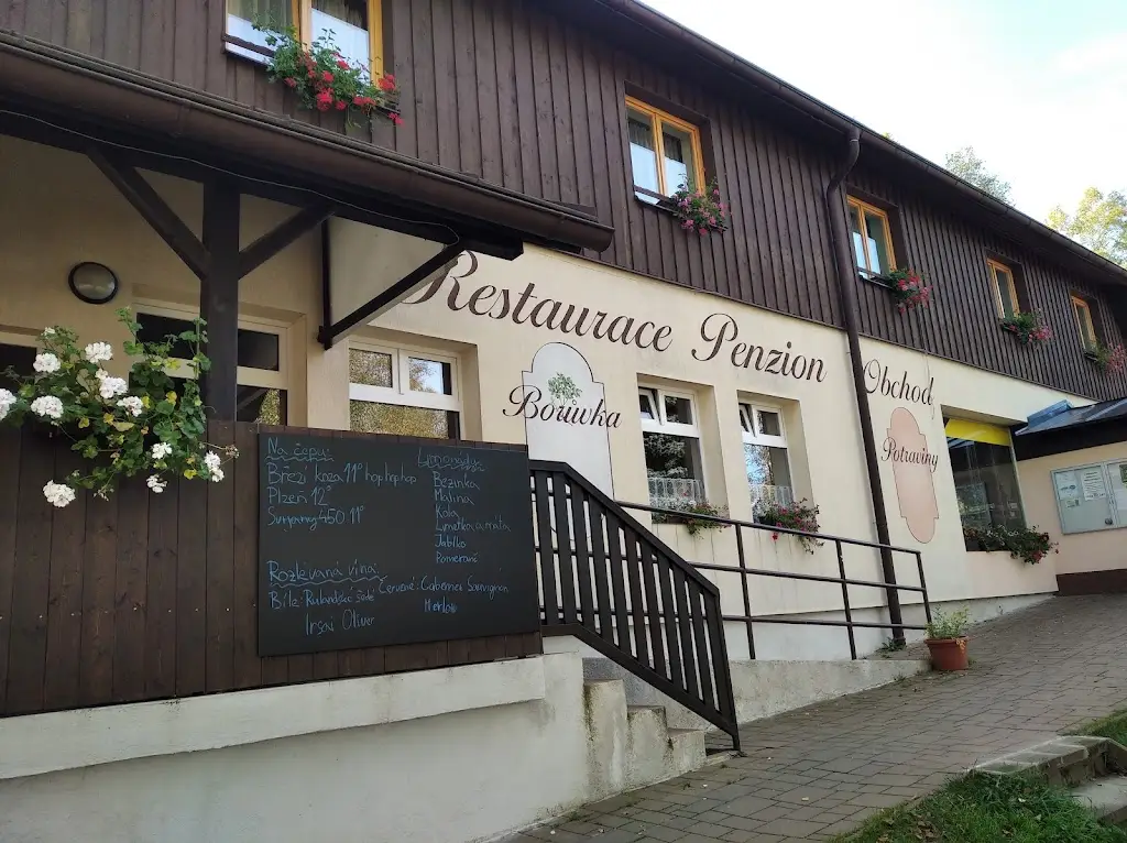 Restaurace Borůvka restaurant in Borová Lada