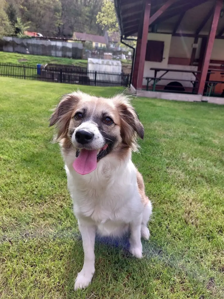 Veronika Špinková_Penzion Restaurace Bowling Bezovka_Bílina Kyselka_review