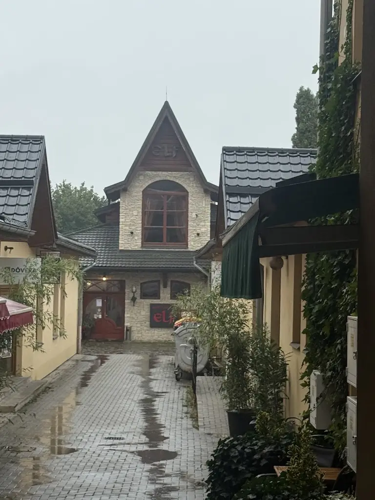 Khaled Saad_Reštaurácia Elf_Březno_review