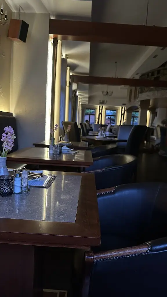 Дмитрий Ребров_Reštaurácia Elf_Březno_review