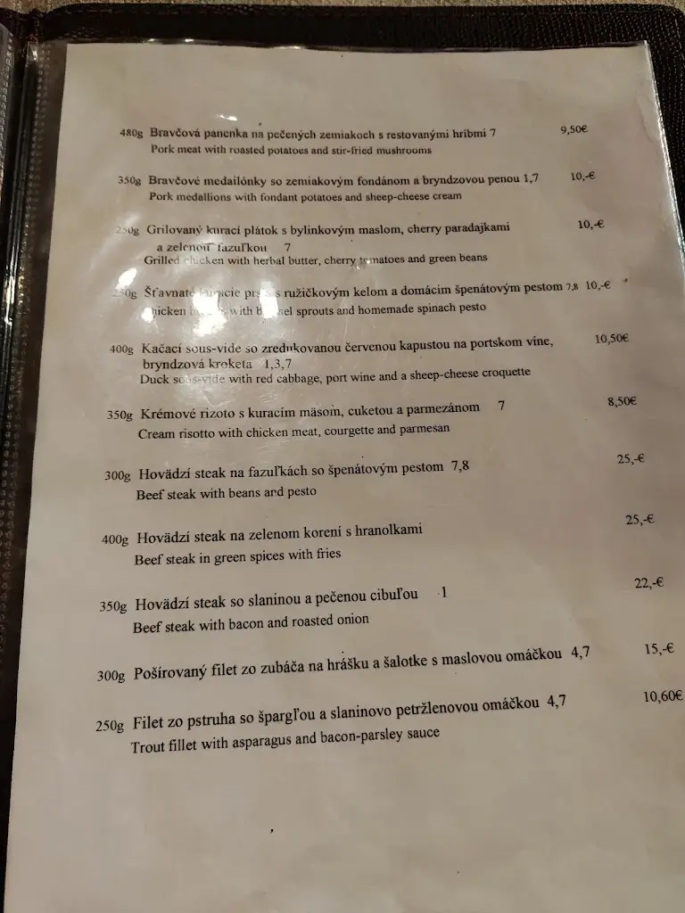 Menu_Reštaurácia Salmo_Březno_image_3