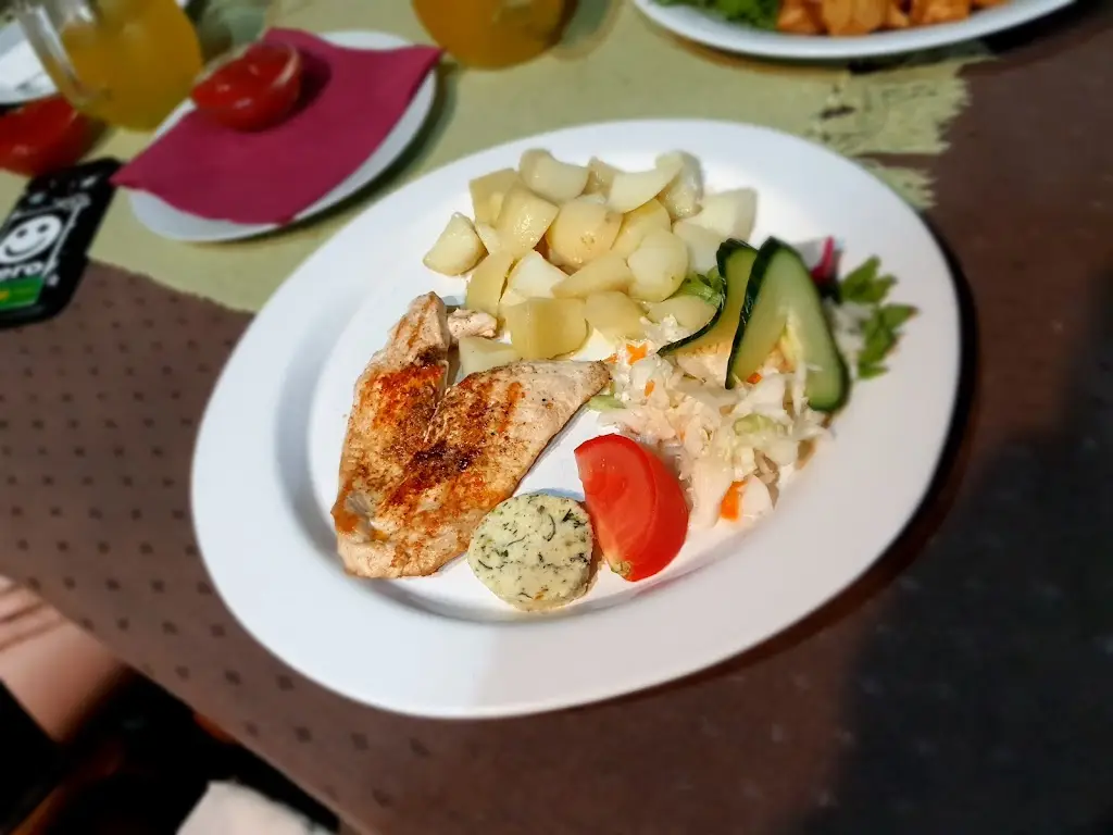 Menu_Reštaurácia Salmo_Březno_image_5