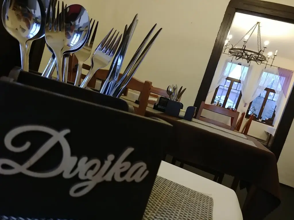 Stefan Gaspar_Reštaurácia Dvojka_Březno_review