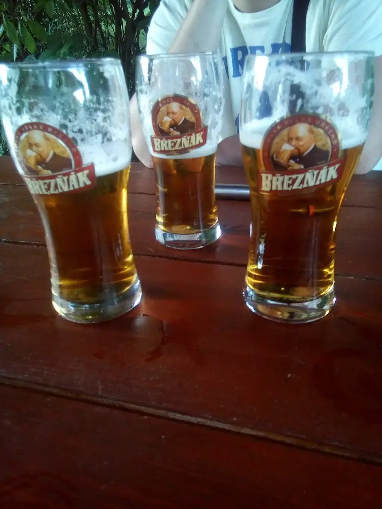 Menu_Restaurace U Hasiče_Chlumec_image_5