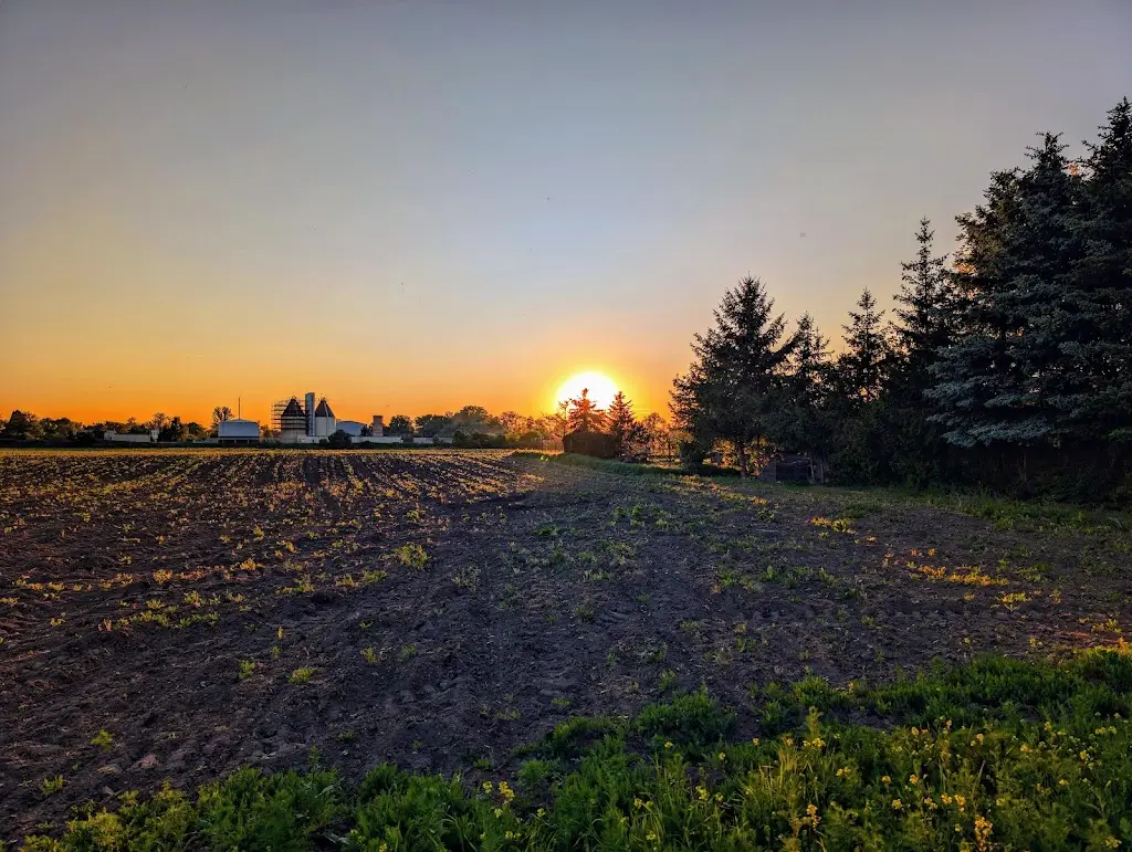 Comi Nick_Bistro Na konci cesty_Dobroměřice_review