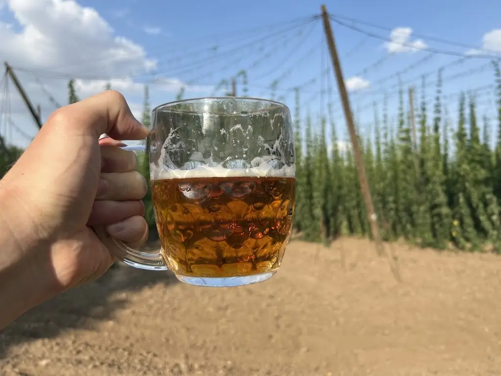 Menu_Občerstvení Lužerady_Dobroměřice_image_4