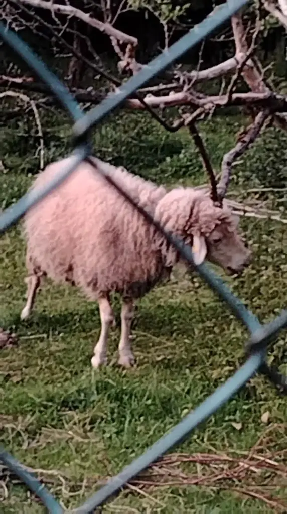 David Zaharia_Hotel Waldhof_Jiříkov_recensione