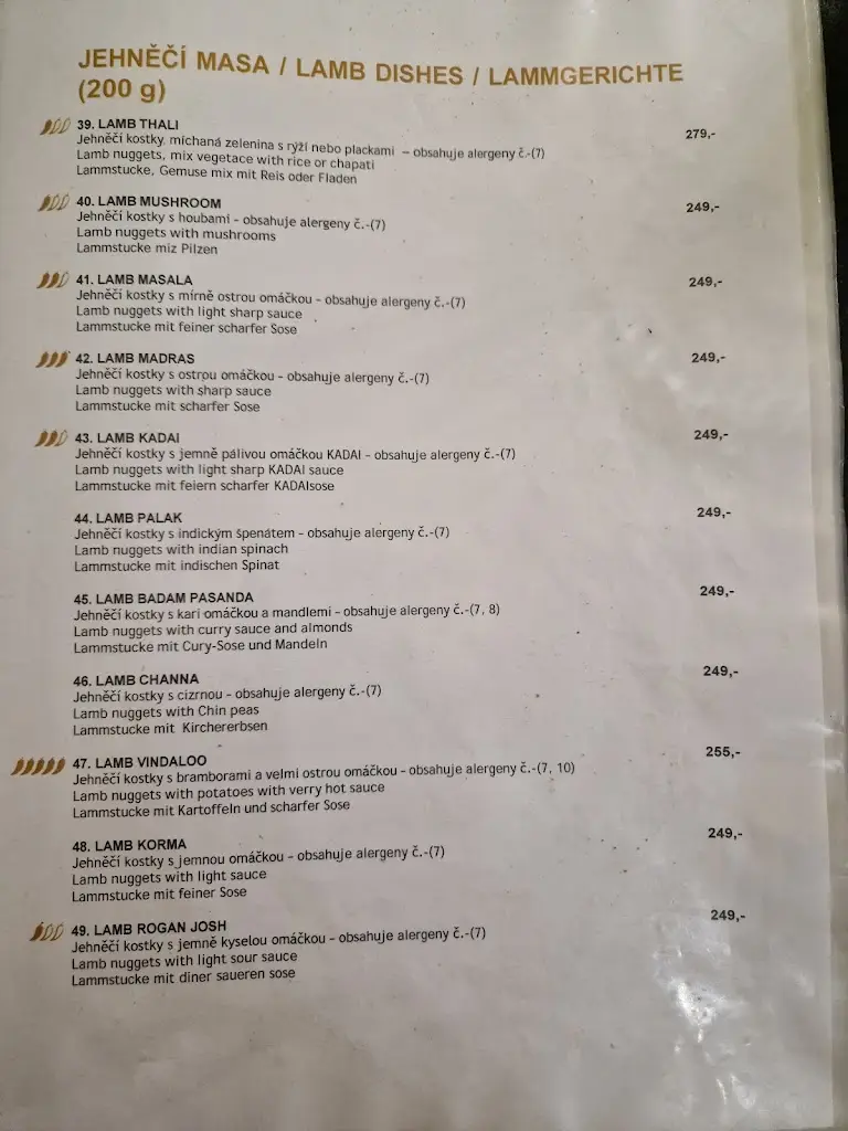 Menu_Indian restaurant Taj Mahal_Děčín_image_4