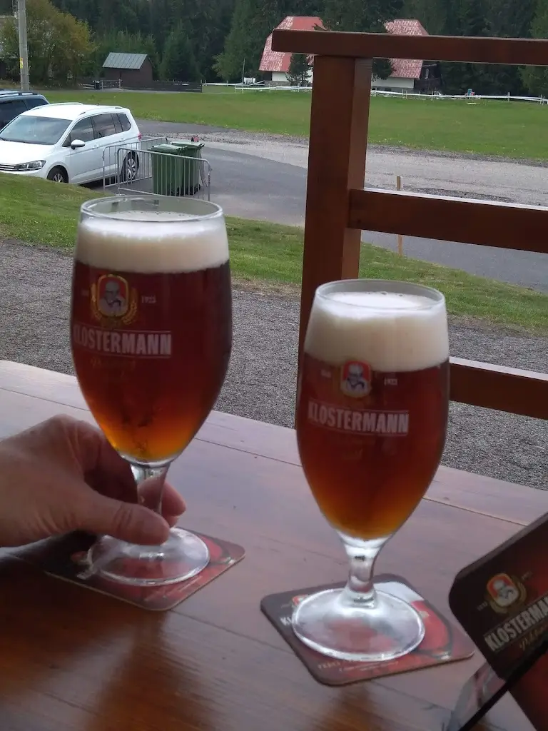 Hana Schindlerova_Bufet pod stadionem (Churáňov)_Stachy_review